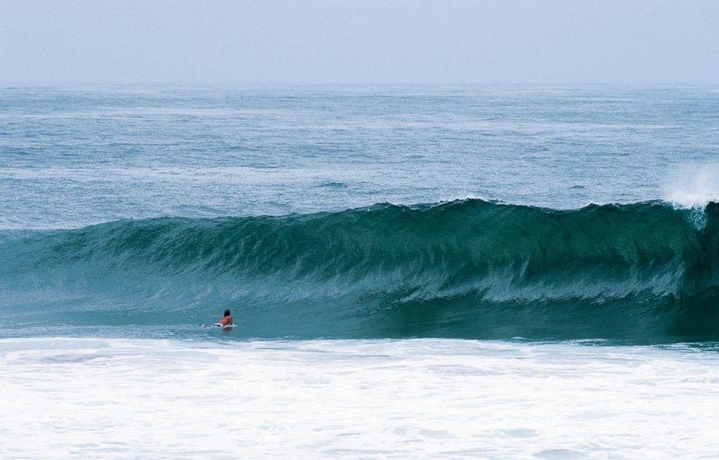 Surf in india